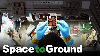 Space to Ground: Investigating Muscle Loss: 08/20/2021