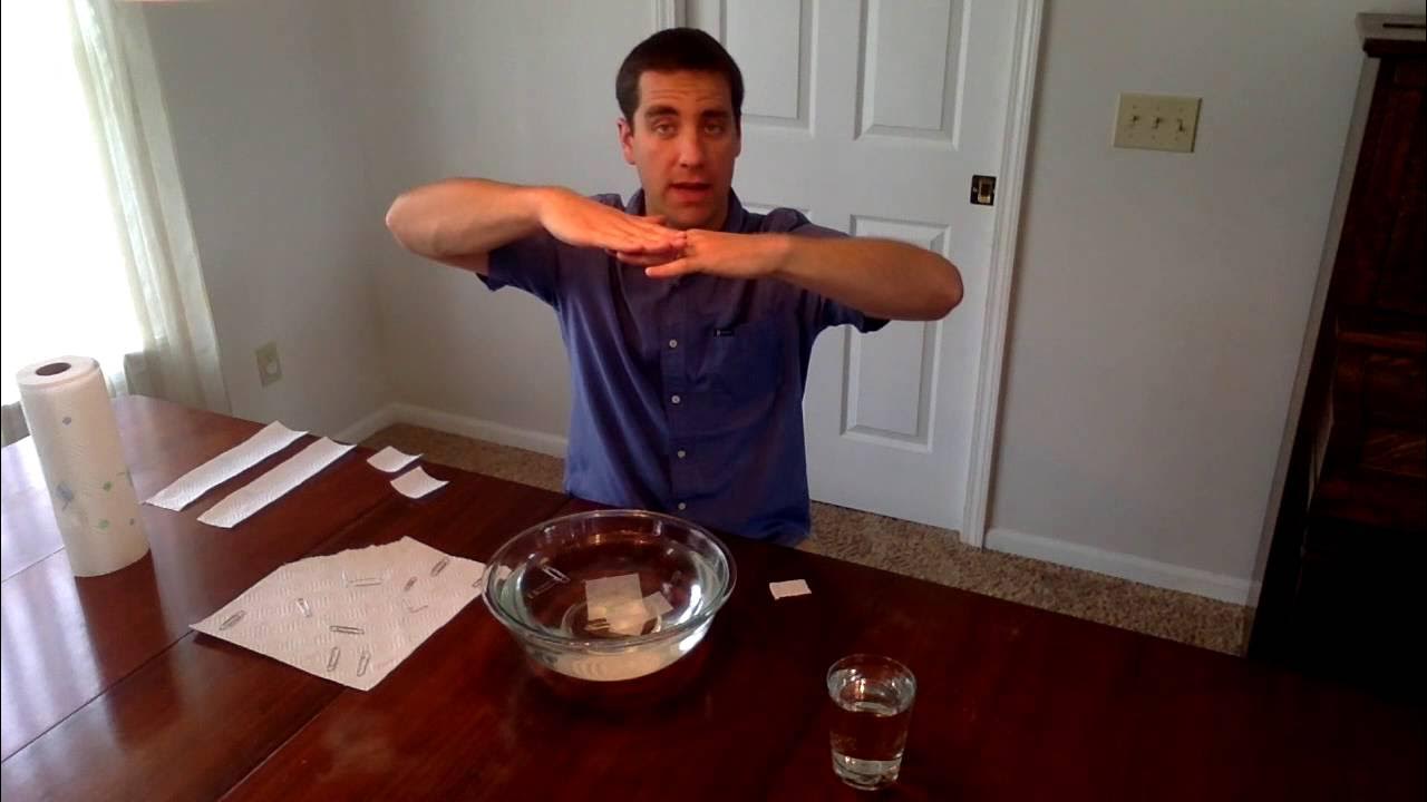 Floating Paperclip (STEM Activity) YouTube