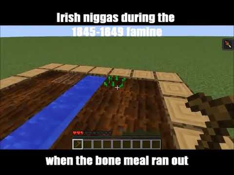 The Irish Potato Famine (1845-1849)