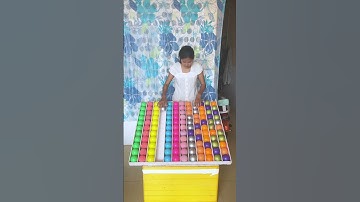 Can You Crack the Code Before I Do? 🟢🔴🟡