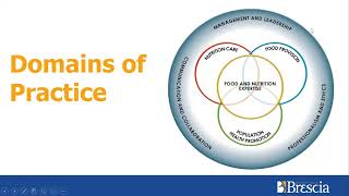 ICDEP Competencies (Version 3.0)