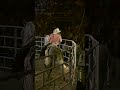 El amor también se aprende perdiendo… #ExpertoEnFracasos, en vivo y a caballo con el #ReyDelJaripeo