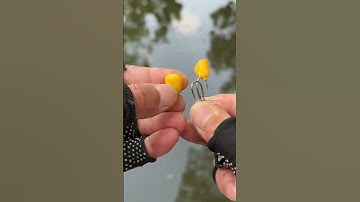 Lưỡi trùm 3 trong 1 câu cá CHÉP, CÁ MÈ SIÊU HOT nhất 2025 - Fishing hook #fishing #shorts