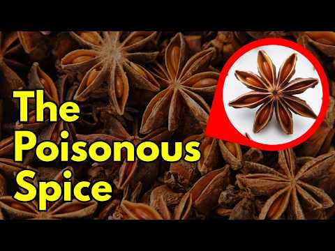 The Poisonous Spice (Star Anise)