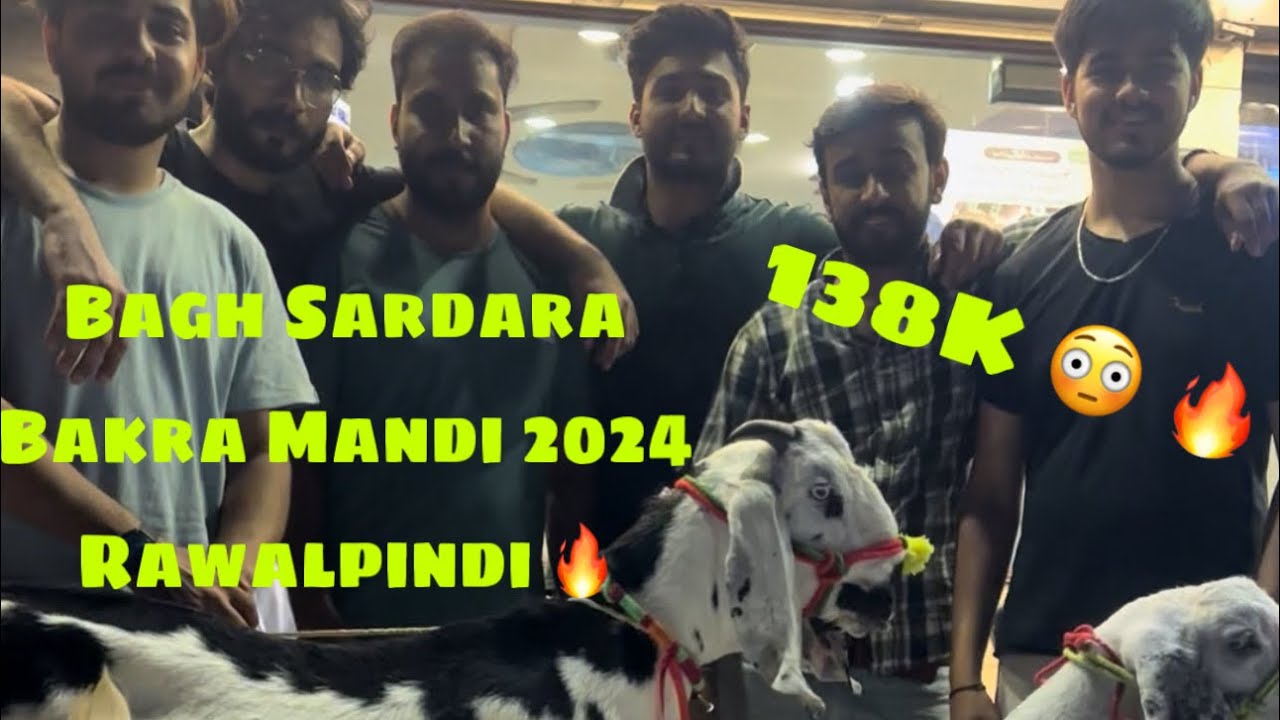 Bakra Mandi Rwp Bagh Sardara ️ Bakra Mandi 🐐 2024 🔥Rawalpindi - YouTube