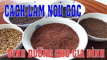 Bột Ngũ Cốc, Cách làm BỘT NGŨ CỐC các LOẠI ĐẬU dinh dưỡng - Xanh TV