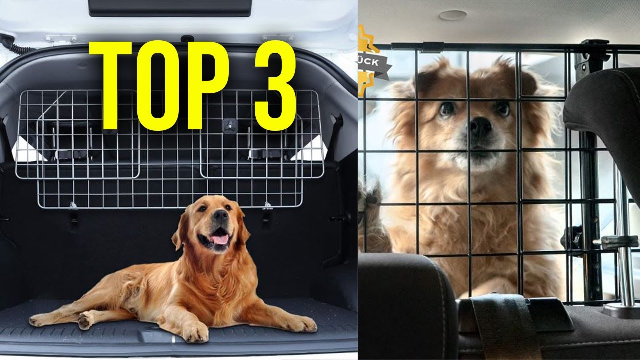 Barrière de sécurité voiture pour chien, grille de protection pour