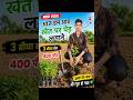 3 बीघा खेत में 400 पेड़ लगाने निकले 🌱🔥आज खेत में शुरू हुआ बड़ा मिशन | 400 पेड़ लगाएंगे 😱