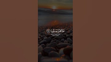 فوربك لنسألنهم أجمعين | سورة الحجر | القارئ هزاع البلوشي