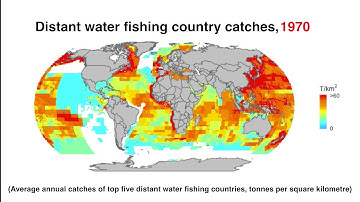 Industrial Fishing Fleets Expansion