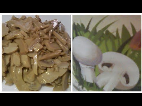 الطريقة الصحيحة لاستخدام المشروم المعلب