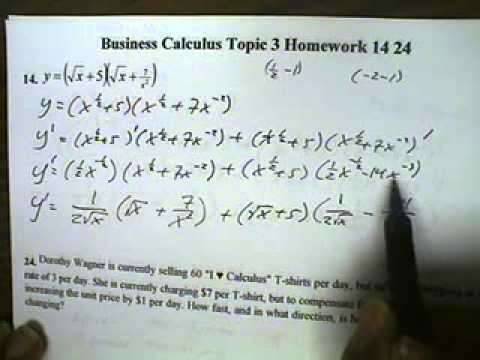 business calculus homework