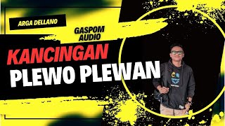 DJ PLEWO PLEWAN - ARGA DELLANO ft GASPOM AUDIO 2024