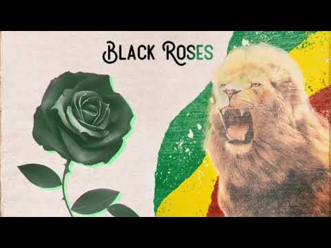 Reggae Riddim Instrumental