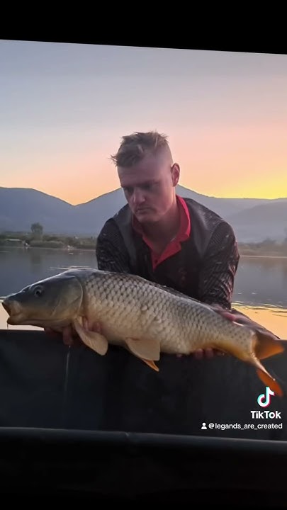 what-a-great-weekend-of-fishing-98-fish-for-600kg-getting-ready-for-the
