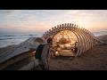 Building a Luxury Cabin Inside a Massive Whale Skeleton (Satisfying ASMR)