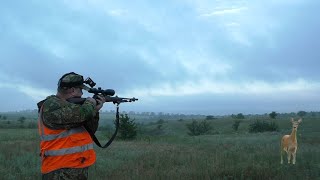 видео: Охота на косулю на гону с манком. Такого количества я еще не встречал. Roe deer hunting with a decoy картинка: Охота на косулю на гону с манком. Такого количества я еще не встречал. Roe deer hunting with a decoy