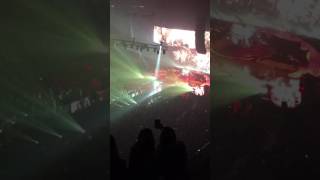 Queen 14