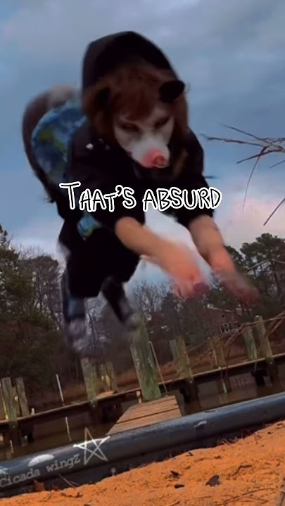 Six Legs Tippy Tappy Toes! #musicgenre #therian #musicsong #alterhuman #lgbtq #edit #editor