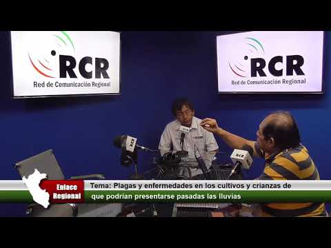 Programa Enlace Regional