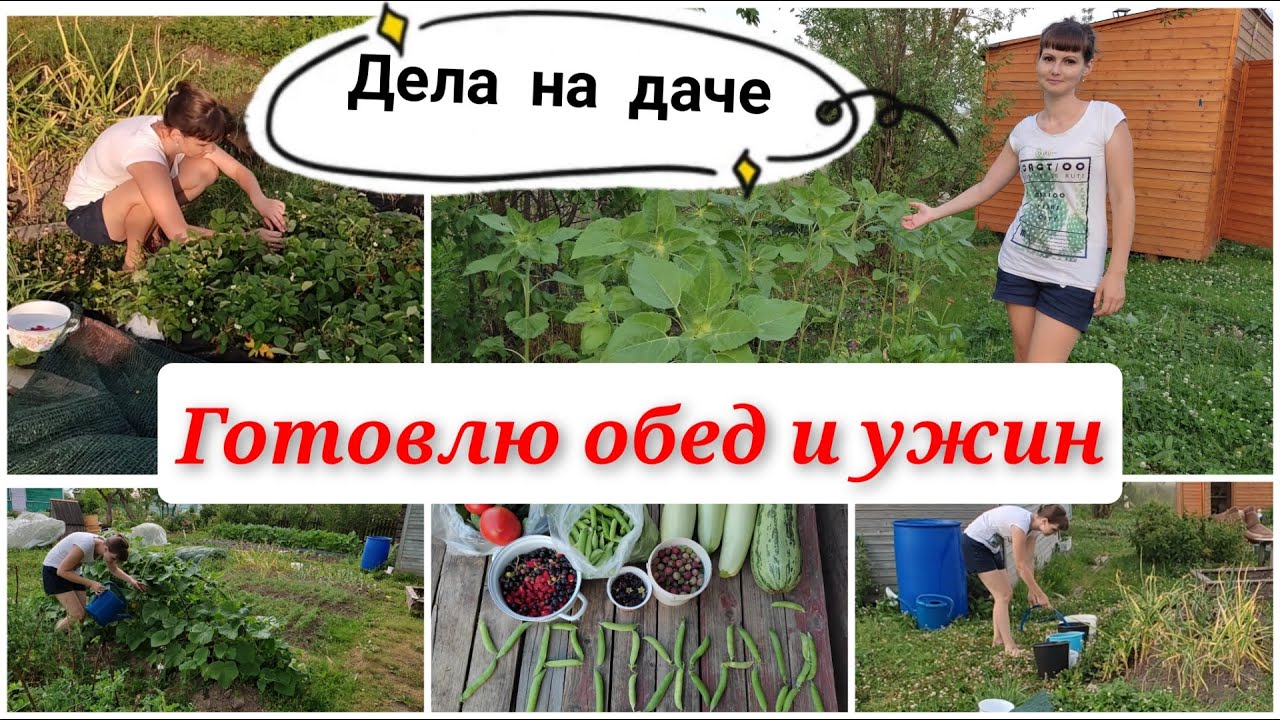 Дела на даче/ дачный сезон 2021/ урожай/ мотивация на уборку и готовку/ мой огород/ моя дача