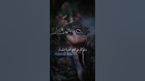 وَتَوَكَّلْ عَلَى الْحَيِّ الَّذِي لَا يَمُوتُ.. تلاوة خاشعة للشيخ إدريس ابكر ----