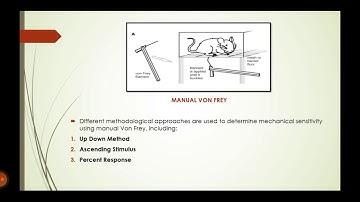 EP-1770030 Anti Inflammatory Von Frey Method. 612 lab