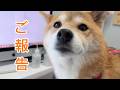とても嬉しいご報告があります