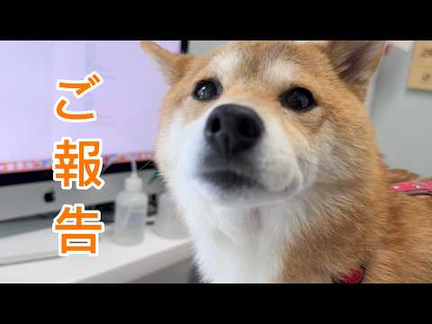 【ふくちゃんです】 おまとめ4点だよ(⁠◍⁠•⁠ᴗ⁠•⁠◍⁠)♡ I have very good news to report. - YouTube