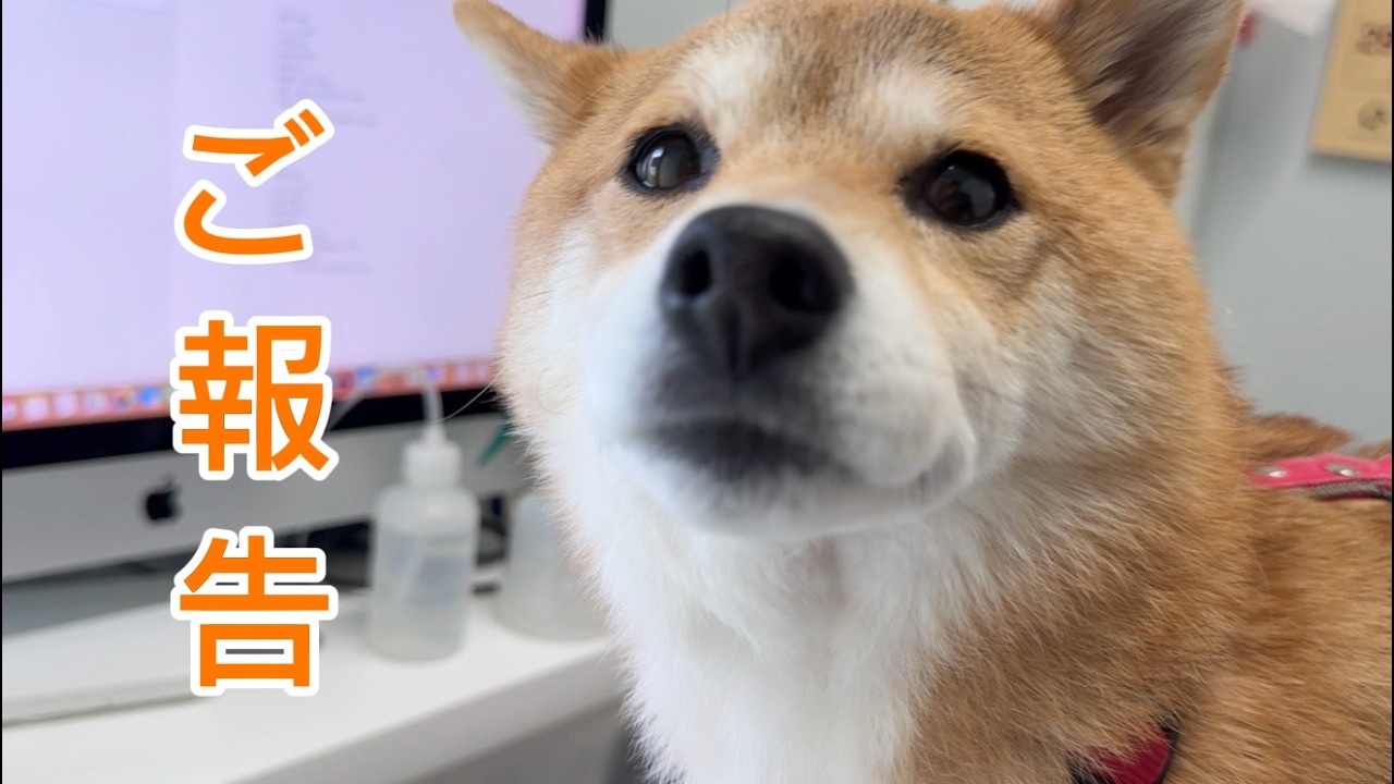 とても嬉しいご報告があります