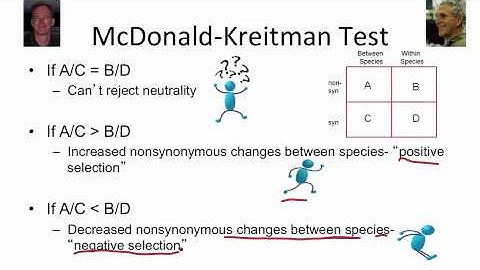 8 - 7 - Week 8 - 7 (S) Searching for Natural Selection  McDonald-Kreitman Test (1525)