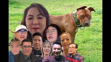 Addison-luật MỸ:TUYEN NO PHAM TÔI HÌNH SỰ.?