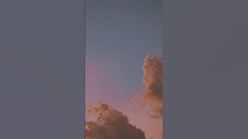 تلاوة بصوت القارئ أحمد بن طالب