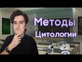 Методы Цитологии | ЕГЭ по Биологии | Biocoma и Роберт Кирхе