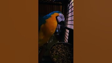 Thumbnail of Erica sings her favorite song.