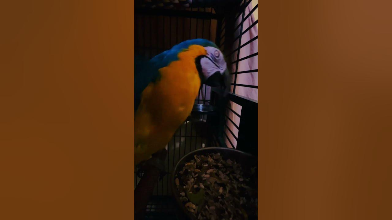 Erica sings her favorite song.