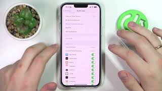 How to Check Data Usage on iPhone 14 Plus - Find Data Usage