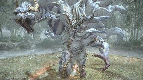 Byakko Unreal Clear (Picto POV)