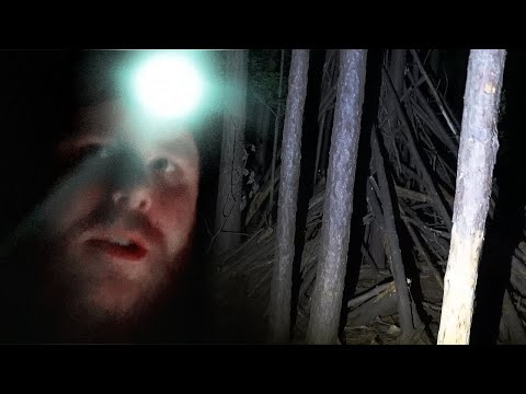 I Went Hiking Alone in a Haunted Forest