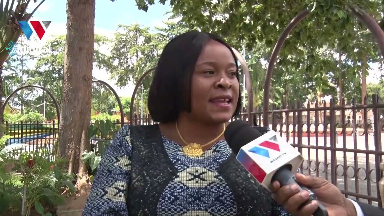 MBUNGE WA CHADEMA AIDA KENAN AELEZA 