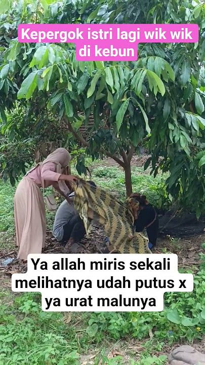 kepergok istri lagi wik wik di kebun #viral