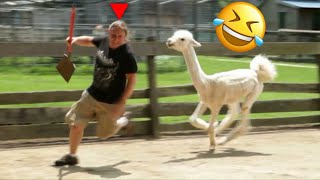 Best Funny Videos 🤣 - People Being Idiots | 😂 Try Not To Laugh - BY TickleTimez 🏖️ #32