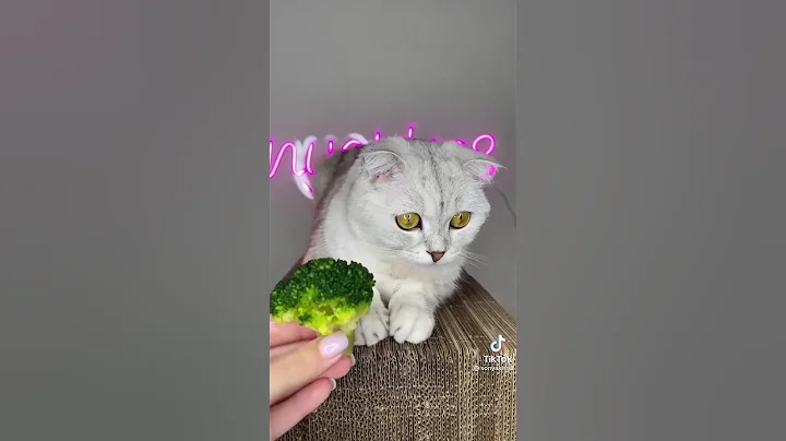 jajajajajaja