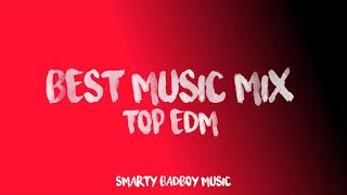 Best Music 2020 Mix ♫ Gaming Music x Nocopyrightsounds ♫ EDM,Trap, Dubstep,DnB,Electro House BADBOY