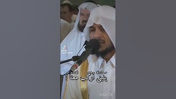 وَهِىَ تَجْرِى بِهِمْ فِى مَوْجٍۢ كَٱلْجِبَالِ وَنَادَىٰ نُوحٌ ٱبْنَهُ [سورة هود]القارىء هيثم الدخين