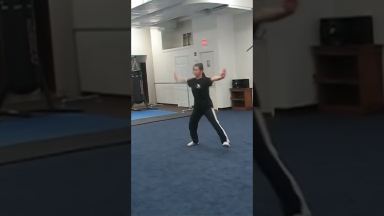 美女练少林小洪拳 （8）Shaolin Xiao Hong Quan by a beauty（8）