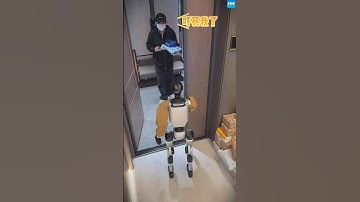 AI 家庭助手｜机器人保姆照顾生活，机器狗取快递 📦 #AI #机器人 #百科密码 #robotics #funny #搞笑 #百科密码