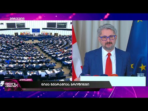 ნიკა გვარამიას ბრიფინგი