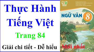 Thực Hành Tiếng Việt | Ngữ Văn Lớp 8 Tập 1 Trang 84 | Kết Nối Tri Thức