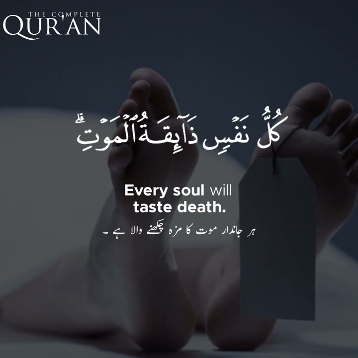 Surah Al-Anbiya | Ayah 35 | Abdur Rahman Mosad | The Complete Quran #quran #recitation #shorts
